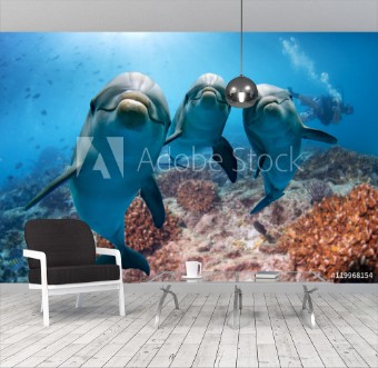 Bild på Three dolphins close up portrait underwater while looking at you